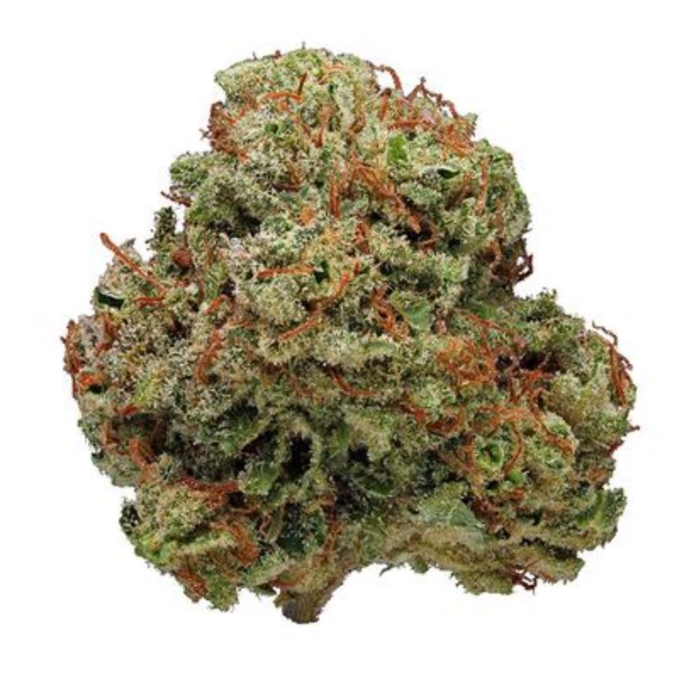 Cresco™ Bio Jesus for Sale Northampton MA Balagan Cannabis Dispensary